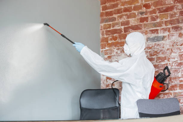 Best Airborne Mold Testing  in Mckee City, NJ