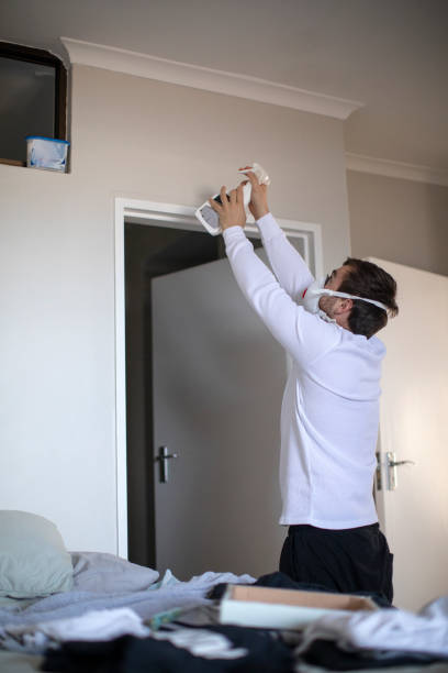 Best Mold Odor Removal Services  in Mckee City, NJ