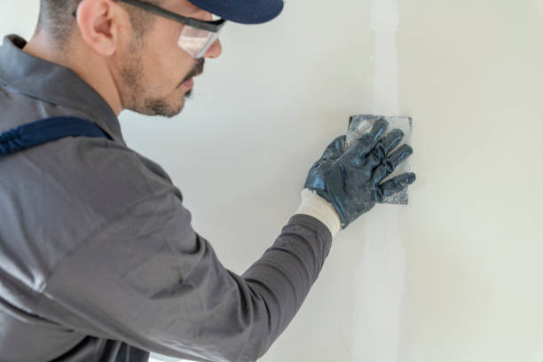 Best Post-Construction Mold Inspection  in Mckee City, NJ