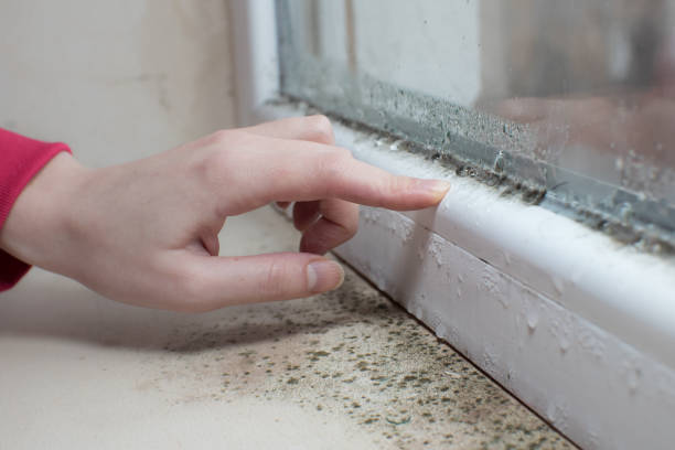 Asbestos and Lead Testing During Mold Inspection in Mckee City, NJ