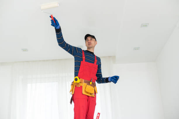 Best Attic Mold Removal  in Mckee City, NJ