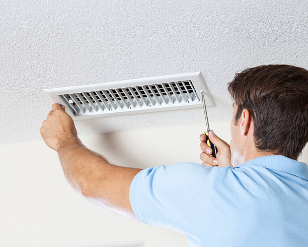 Best Dehumidification Services  in Mckee City, NJ