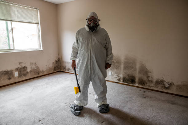 Best Black Mold Removal  in Mckee City, NJ